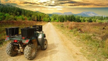 Image of Taking Your ATV to Ocala National Forest? 5 ATV Insurance Tips to Consider