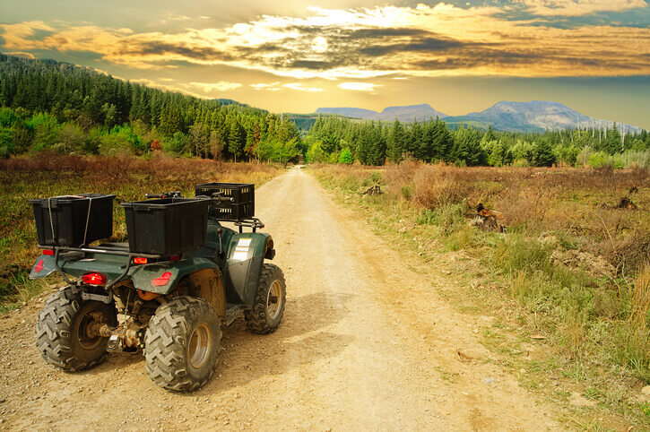 Quad bike, ATV, in the foreground on a vanishing dirt road, forest, mountain and cloudy sunset sky in the background