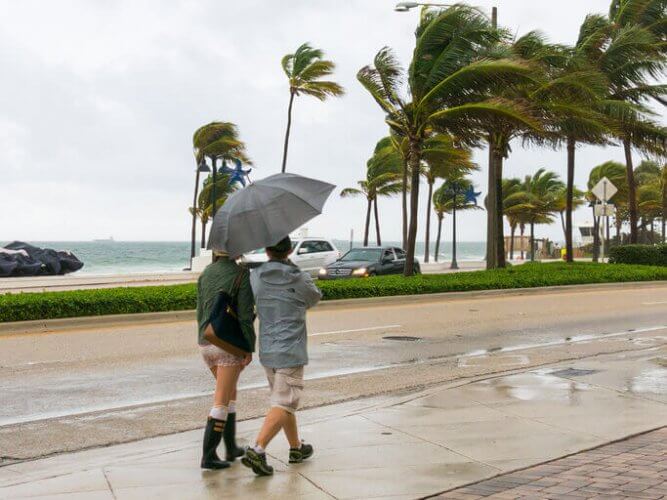 Couple walking with umbrella during tropical storm on seaside boulevard in Fort Lauderdale, Florida. Palm tree leaves bent due to the wind.
