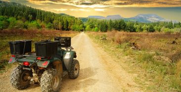 Image of Taking Your ATV to Ocala National Forest? 5 ATV Insurance Tips to Consider