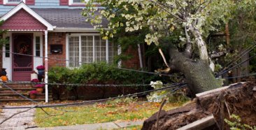 Image of a Wind, Fallen Trees, and Your Homeowners Insurance