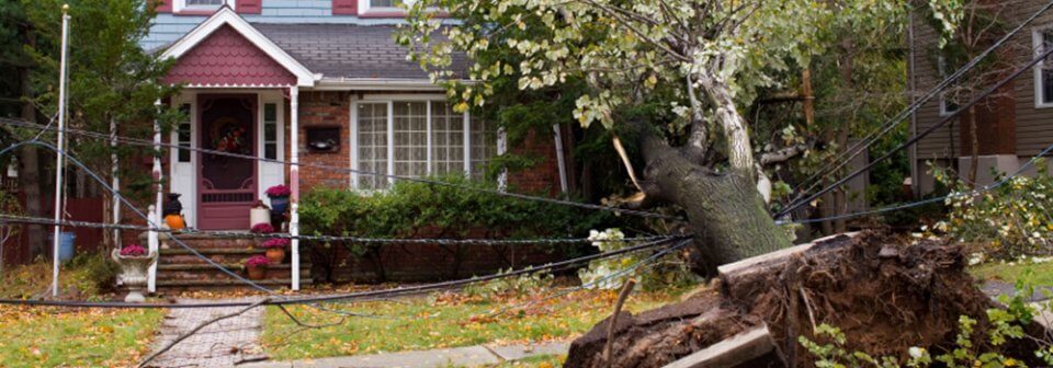 Fallen tree on top of house to illustrate how wind-fallen trees are covered in homeowner's insurance.