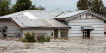 Image of Which Items Are Typically Covered in a Flood, and Which Are Not?