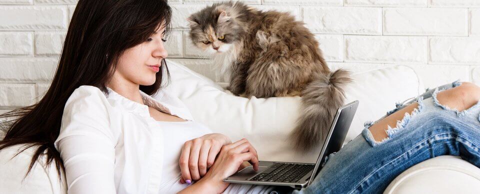 An Angora cat and its owner chilling on a couch while the owner searches for renter's insurance.