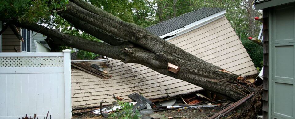 A windfallen tree that destroyed a shed that portrays home weather damage.