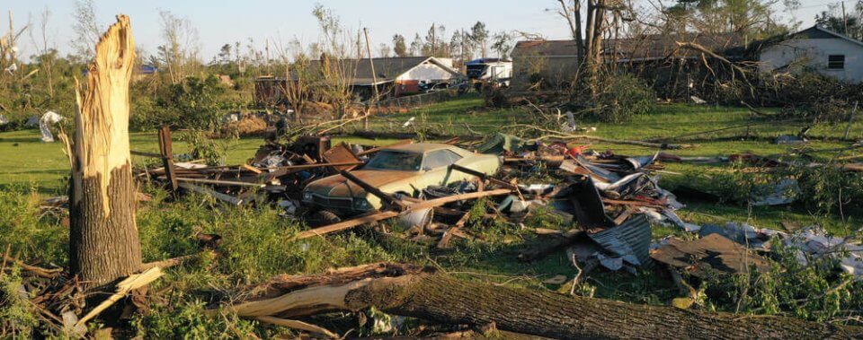 tornado aftermath fallen tree on car