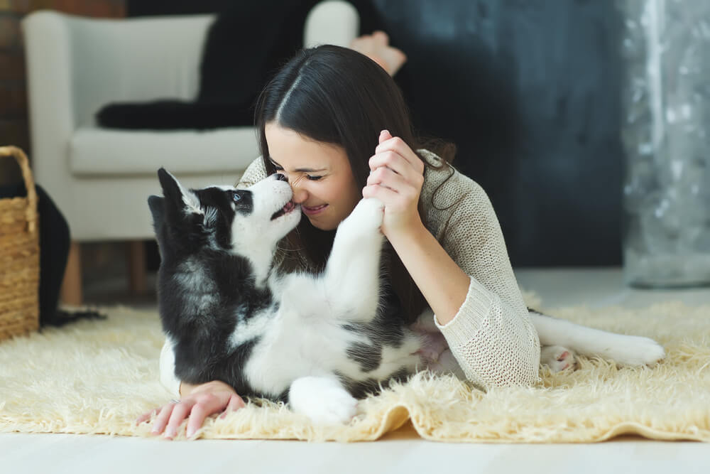 happy woman in her living room with her dog and renters insurance