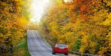 Image of a Catch the Best Fall Scenery with Cheap Car Insurance in NY