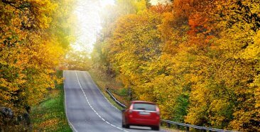 Image of a Catch the Best Fall Scenery with Cheap Car Insurance in NY