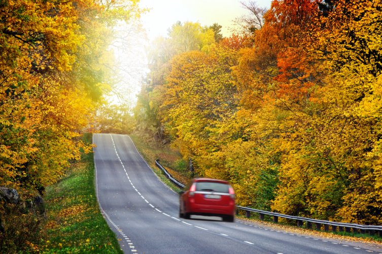 car driving down road with fall foliage