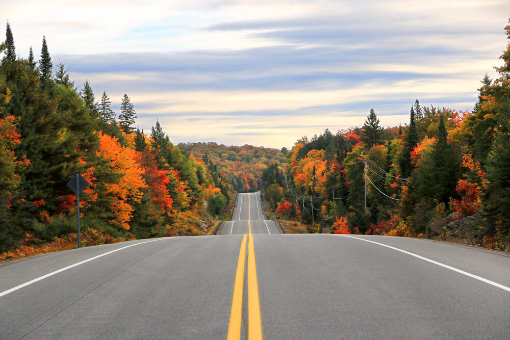 open road with fall foliage