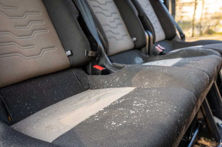 mold on seats of car