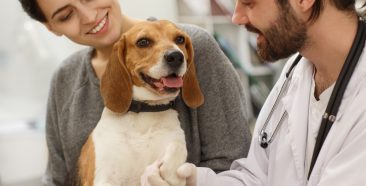 Image of a 5 Reasons You Need Pet Insurance