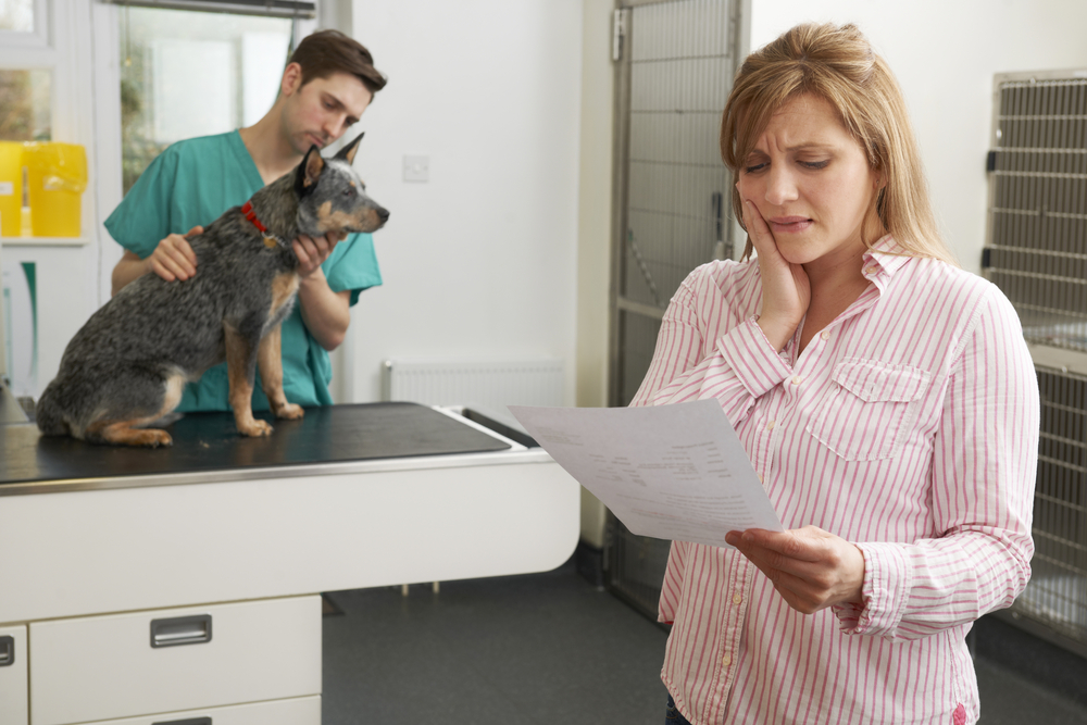 woman at vet looking at bill