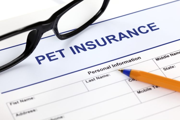 pet insurance policy document