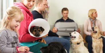 Image of a 4 Reasons Why Pet Insurance Is Helpful