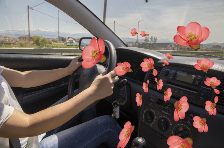 Driver enjoys the smell of fresh flowers coming out of air vents