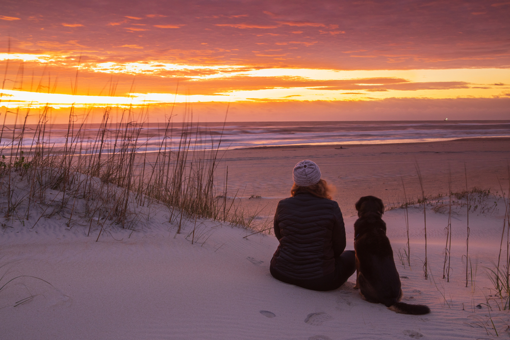 Girl and dog sitting on sand dune watching the sunrise in Salvo, North Carolina on the Outer Banks.