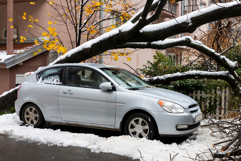 A tree falls on a car during a snow storm