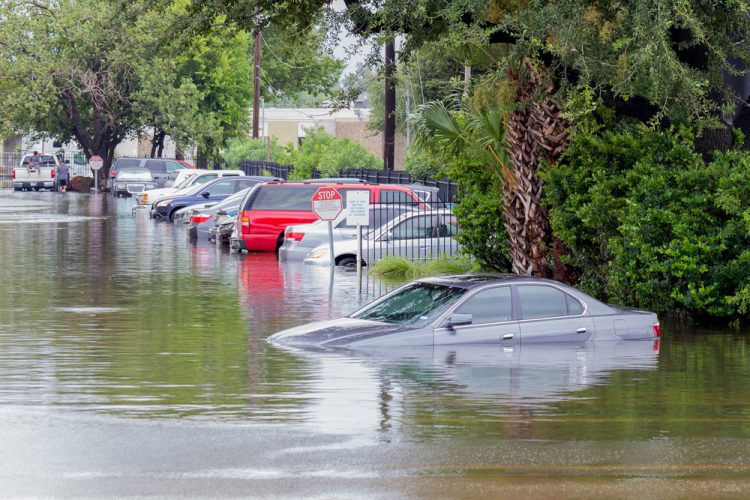 Flooded cars sit in water