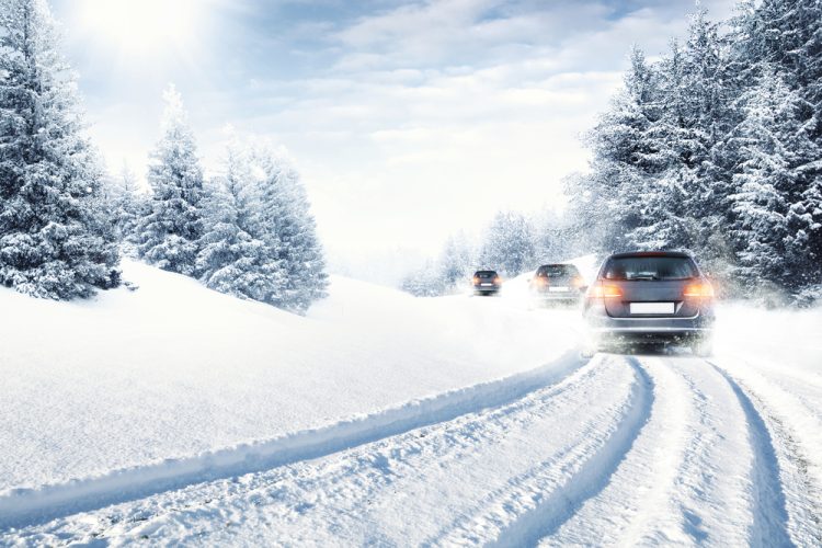 Cars drive on snowy roads with fir trees on the road side