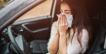Image of a Spring Driving Hazards: How Pollen and Allergy Season Affect Your Driving 