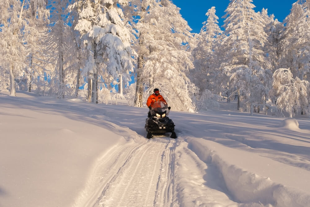 Athlete on a snowmobile moving through a winter forest, highlighting the importance of snowmobile insurance.