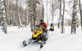 Athlete riding a snowmobile through a winter forest, showcasing the need for snowmobile insurance.