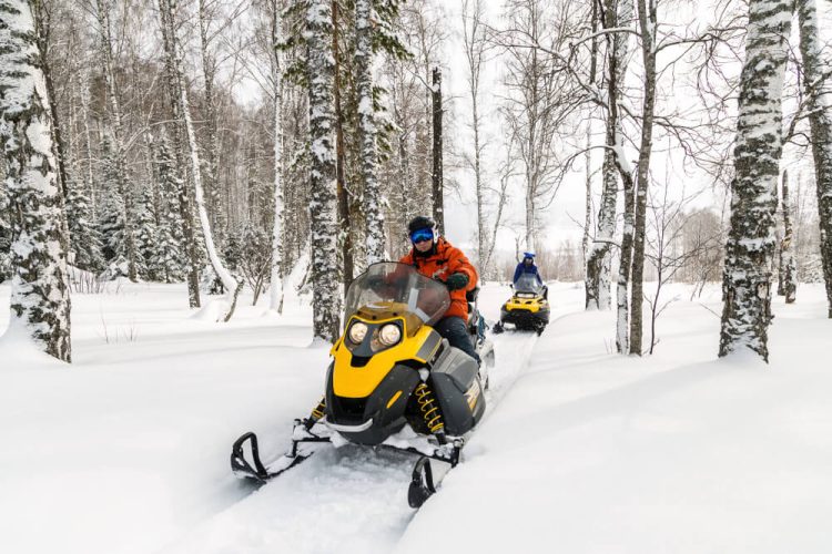 Athlete riding a snowmobile through a winter forest, showcasing the need for snowmobile insurance.