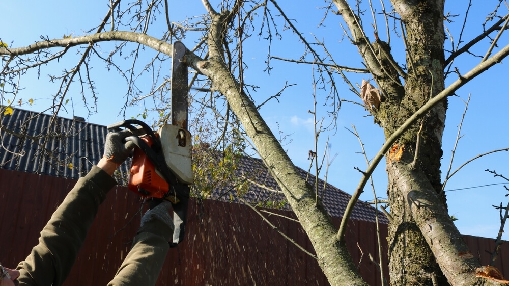Worker cutting a damaged tree branch near a house, illustrating a situation that may lead to home insurance claims.
