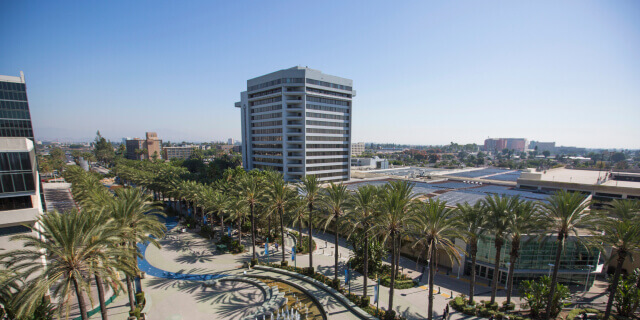 Anaheim, California office building and park with palm trees