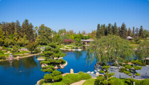 A view from The Japanese Garden in Van Nuys.
