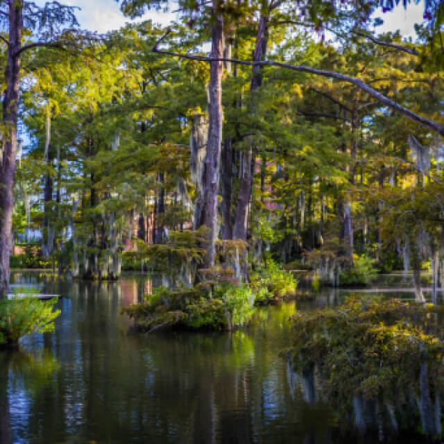 Cypress Lake at the University of Louisiana at Lafayette