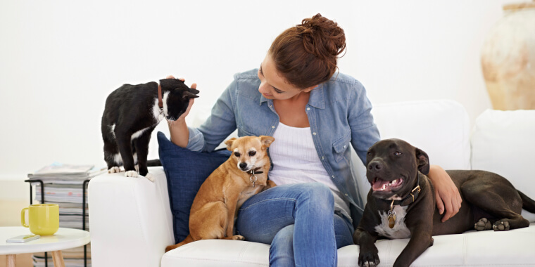 Young woman relaxing on the couch with her dogs and cat.