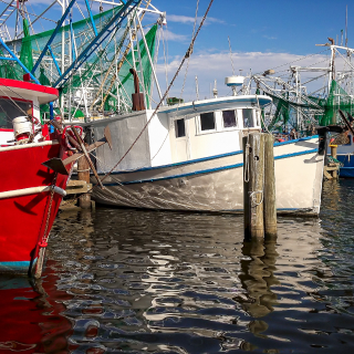 Colorful shrimp fishing boats docked in harbor at Biloxi, Mississippi