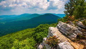 View of the Trout Run Valley from Tibbet Knob, in George Washington National Forest, West Virginia.