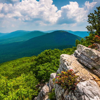 View of the Trout Run Valley from Tibbet Knob, in George Washington National Forest, West Virginia.