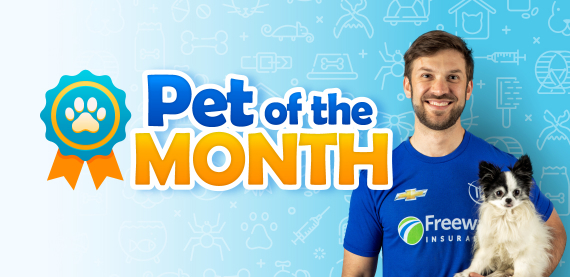 Daniel Suarez in a Freeway Insurance shirt holding a dog