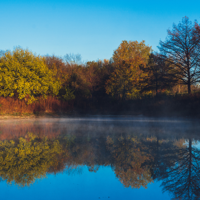 Vibrant Tree Reflection on Lake with Early Morning Fog, Duck Creek Park – cheap car insurance in Garland, TX