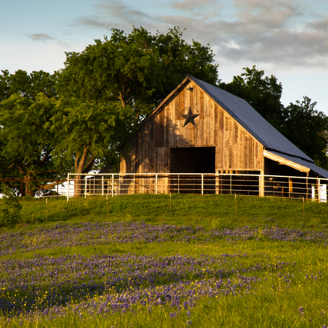 Lone Star barn,cheap car insurance in Texas.