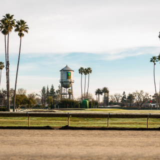 Scenic view of a water tower in a field with palm trees in Alameda County Fairgrounds: Cheap car insurance in Pleasanton, California.