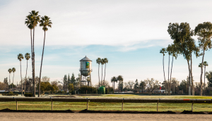 Scenic view of a water tower in a field with palm trees in Alameda County Fairgrounds: Cheap car insurance in Pleasanton, California.