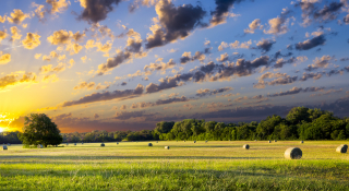 Tranquil Texas meadow at sunrise with hay bales strewn across the landscape: Cheap car insurance in Pearsall, Texas.