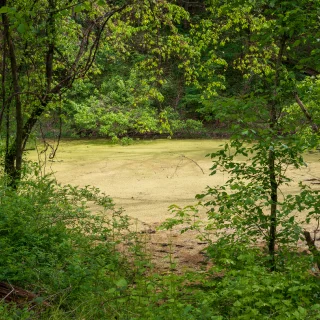 Hockhocking Adena Bikeway in the Athens Area – cheapest car insurance in Athens, OH.