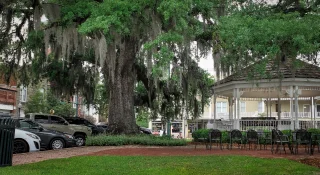 A gazebo under an old tree with Spanish moss in the town square – cheap car insurance in Georgia.