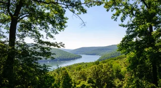 Canopy at Allegeny State Park – cheap car insurance in Pennsylvania.