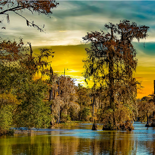 Baker, Louisiana swamp and bayou landscape at sunset with cypress trees and calm water