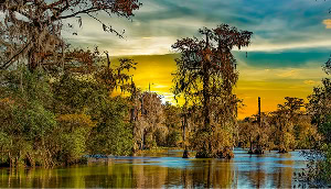 Baker, Louisiana swamp and bayou landscape at sunset with cypress trees and calm water