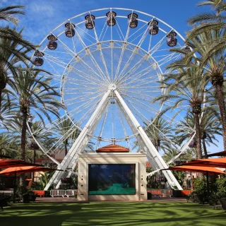 Ferris wheel framed by tall palm trees and outdoor seating in Irvine, California.