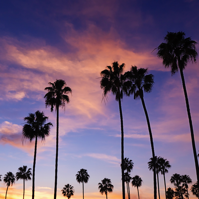 Palm trees silhouetted against a colorful sunset sky in Corona, California
